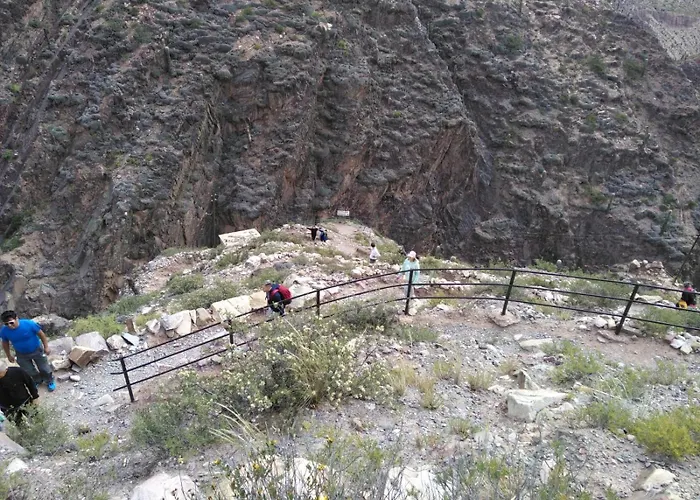 Bajo La Vina