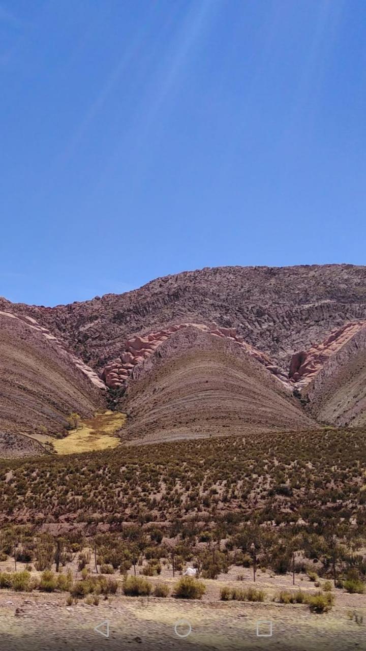 Bajo La Vina * San Salvador de Jujuy